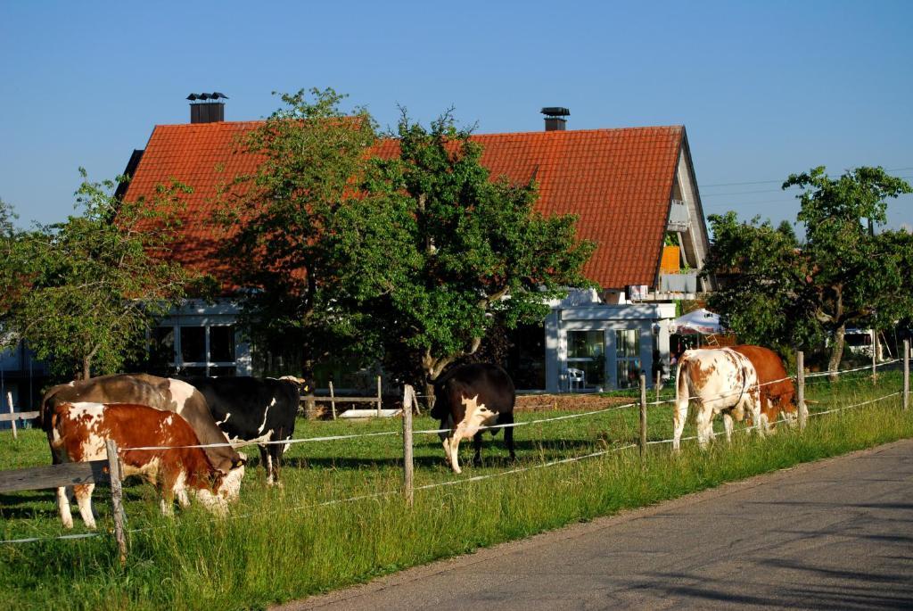 Wellnesshotel Schiesselhof Grafenhausen Kamer foto