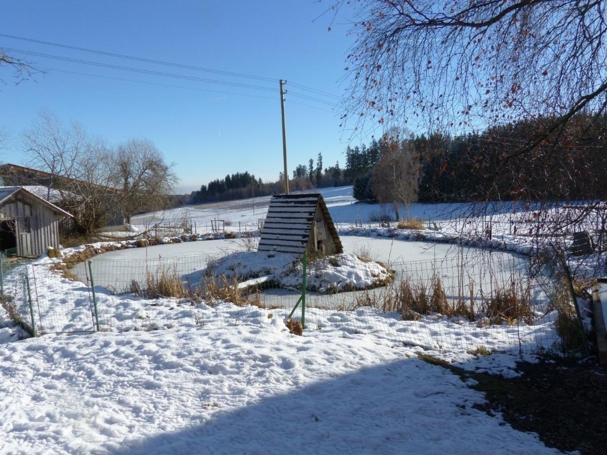 Wellnesshotel Schiesselhof Grafenhausen Buitenkant foto